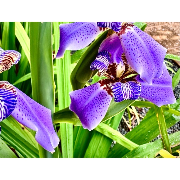 Meet your Posher - Picture 9 of 12